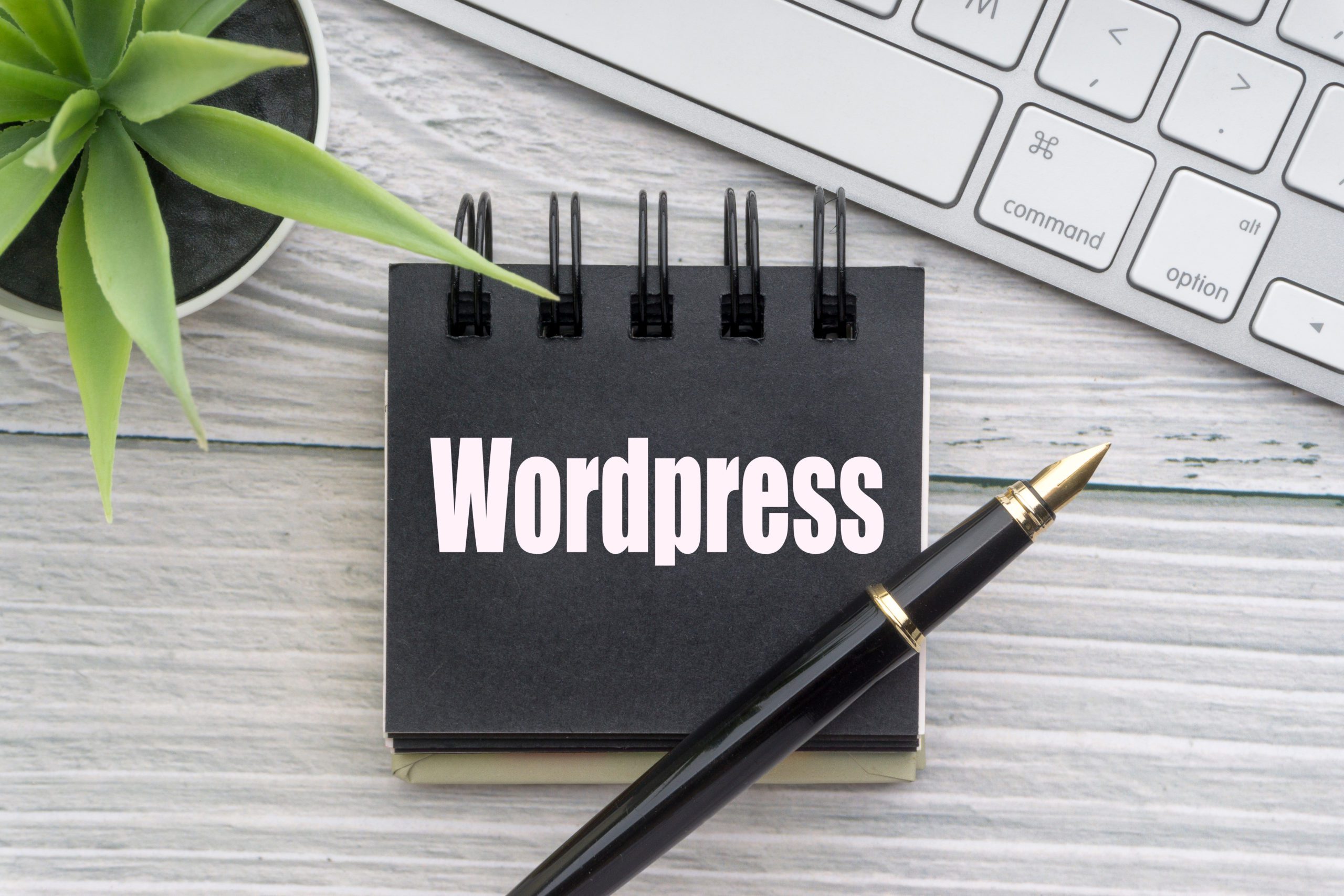 wordpress